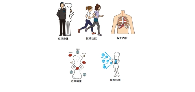 微信截圖_20250123114254