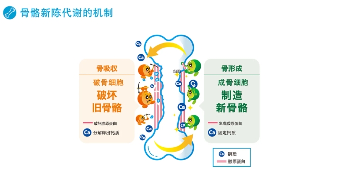 微信截圖_20250123114333
