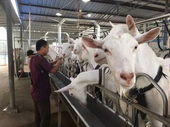 clip_image002 640.webp (3).jpg